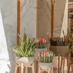 Rhodos Horizon Boutique-adults Only Lägenhetshotell