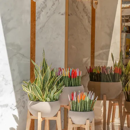 Rhodos Horizon Boutique-adults Only Apartmanhotel